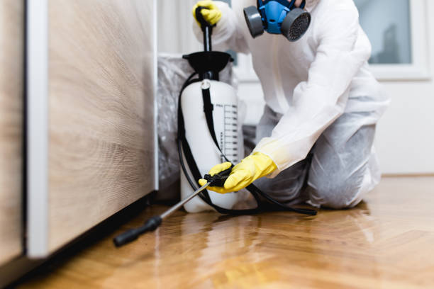 Best Best Pest Control Companies  in Port Dickinson, NY