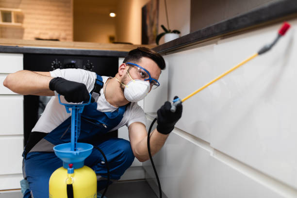 Best Pest Inspection Near Me  in Port Dickinson, NY