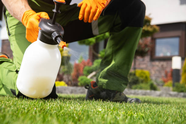 Best Bird Control  in Port Dickinson, NY