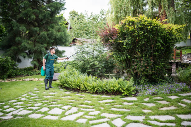 Best Affordable Pest Control Services  in Port Dickinson, NY