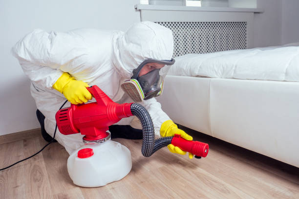 Best Best Pest Control Companies  in Port Dickinson, NY