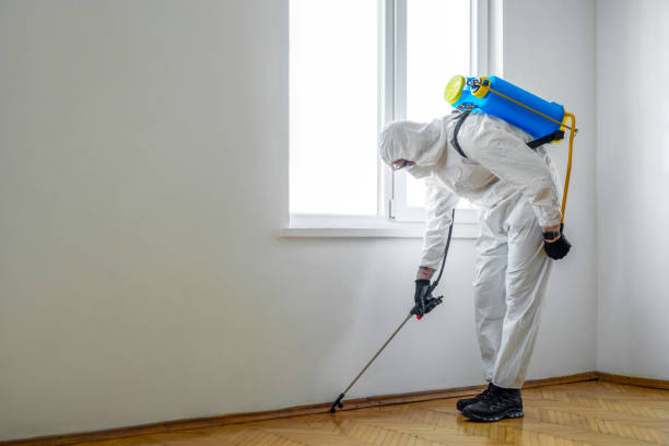 Best Rat Extermination Near Me  in Port Dickinson, NY