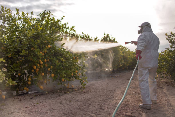 Best Mosquito Control Services  in Port Dickinson, NY