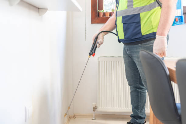 Best Pest Control Near Me  in Port Dickinson, NY