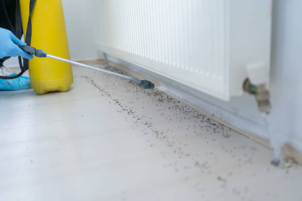 Best Pest Removal Services  in Port Dickinson, NY